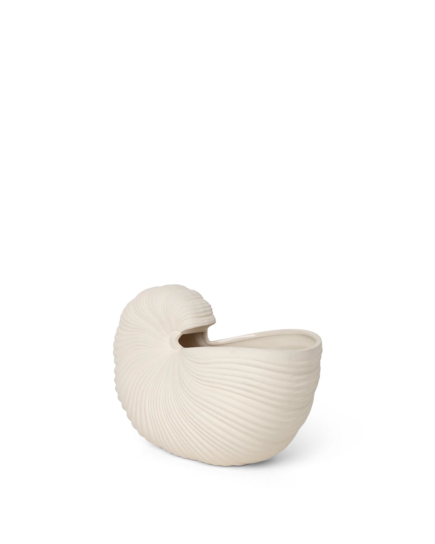 Vase - Shell 