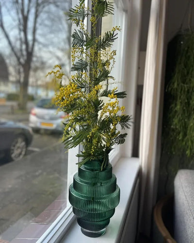 Vase à niveau en verre vert - S, Pols Potten